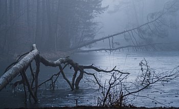 Efekt WOW! w fotografii. Wernisaż w Domu Kultury Atrium
