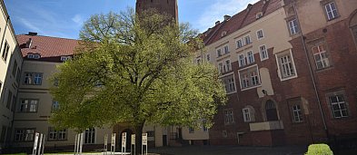 Dolnośląski Dzień Dziecka 2025-2142