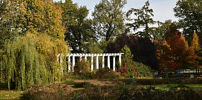 Natura maluje legnicki park. Zobacz zdjęcia i ruszaj na spacer-100320