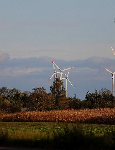 Tauron zaciągnął 2,9 mld zł kredytów na zieloną transformację-100749