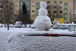 Jak skutecznie i zgodnie z przepisami odśnieżyć samochód?-103957