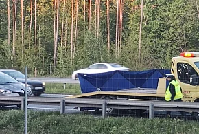 Tir śmiertelnie potrącił mężczyznę na trasie S3-108567