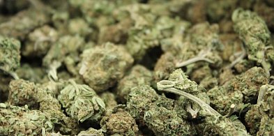 Nie tylko ubrania. W szafie 30-latka była marihuana-108542
