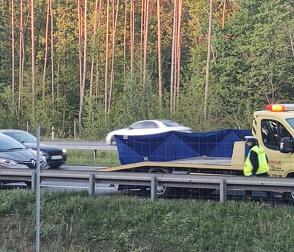 Tir śmiertelnie potrącił mężczyznę na trasie S3-108567