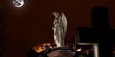 Pożegnaliśmy tych, którzy odeszli – wspomnienie mieszkańców Legnicy-108633