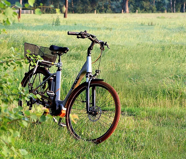 Rząd dopłaci do zakupu roweru. Nawet 4,5 tys. zł wsparcia-108673