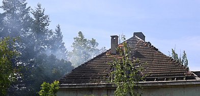 Znów płonie pojarowski szpital w Lasku Złotoryjskim-108741