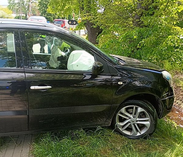 Pijany kierowca wpadł do rzeki. Miał ponad 2 promile-108750