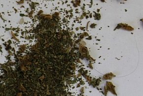 Naćpany kierowca z trawką w kieszeni - 108788