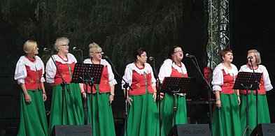 Festiwal folkloru w powiecie legnickim. Zespoły ludowe wystąpią w Rokitkach-108959