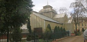 Nowe władze chwalą się rewitalizacją palmiarni