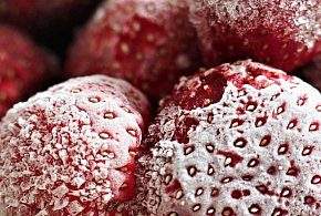 Salmonella w truskawkach z Biedronki. GIS ostrzega przed tą partią-109034
