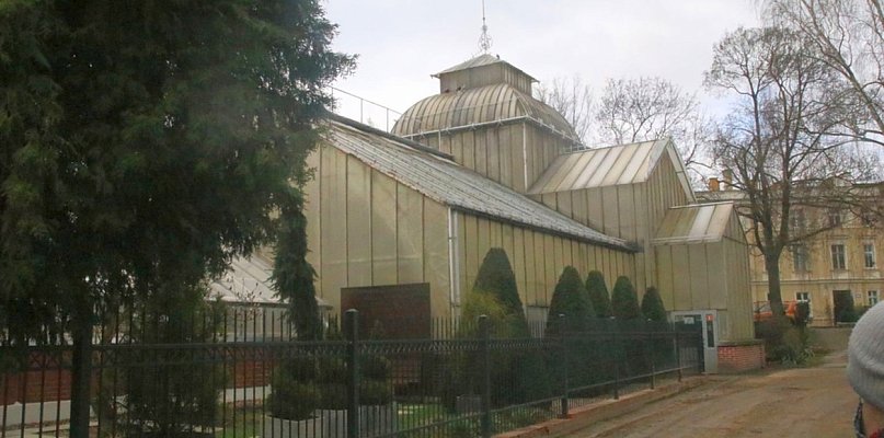 Nowe władze chwalą się rewitalizacją palmiarni. Środki zdobył Krzakowski - 108801
