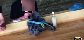 Wpadł z metamfetaminą w parku