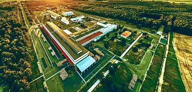 Huta Miedzi Cedynia w całości zasilana zieloną energią z OZE KGHM-109608