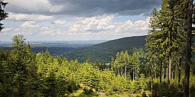 Weekend pod znakiem słońca i ochłodzenia. Sprawdź pogodę w Legnicy-109714