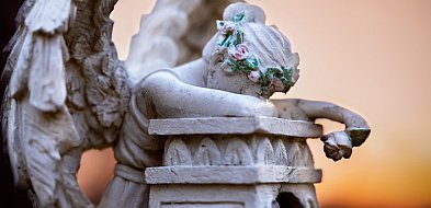 Legnica żegna swoich mieszkańców. Wspominamy tych, którzy odeszli-109800