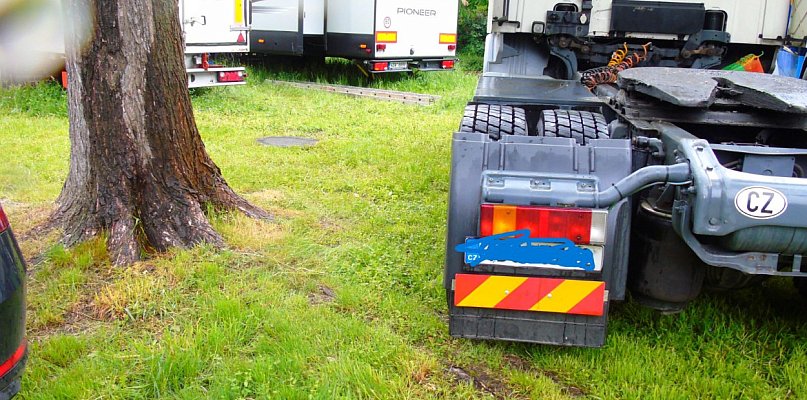 Radna pyta o ochronę drzew w parku podczas miejskich imprez - 110046