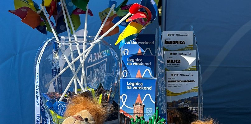 Fanfary ucichły, portal zasnął. Co się stało z legnica.travel? - 110105