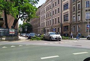Było o włos od nieszczęscia. Gałąź runęła na przejście dla pieszych-110188
