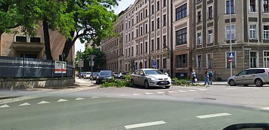 Było o włos od nieszczęscia. Gałąź runęła na przejście dla pieszych-110188