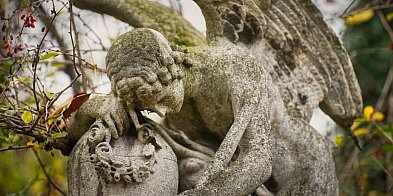 Pożegnaliśmy ich w minionym tygodniu. Legnica żegna swoich mieszkańców-110331