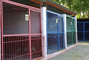 Ukradł swojego psa ze schroniska - 110876