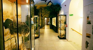 Wzajemne podziękowania dla mieszkańców. Legniczanie zwiedzą Muzeum-110837