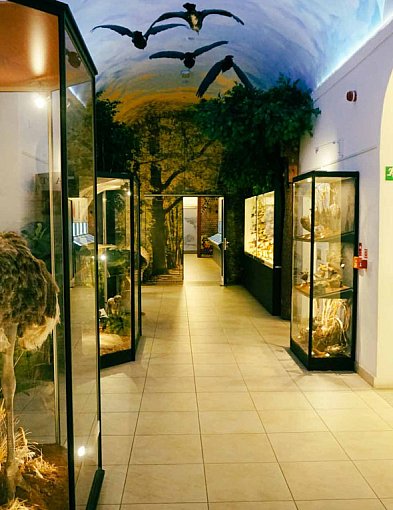 Wzajemne podziękowania dla mieszkańców. Legniczanie zwiedzą Muzeum-110837