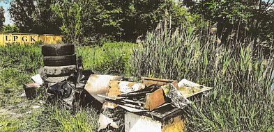 Miasto sprząta po innych. 48 ton śmieci usuniętych z dzikich wysypisk-111428