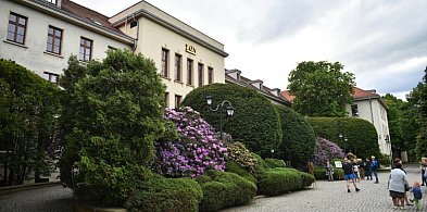 Kto dostaje rentę wdowią, a komu ZUS odmawia? Sprawdź limity-111441