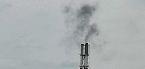 Mieszkańcy Legnicy alarmują. Radna pyta