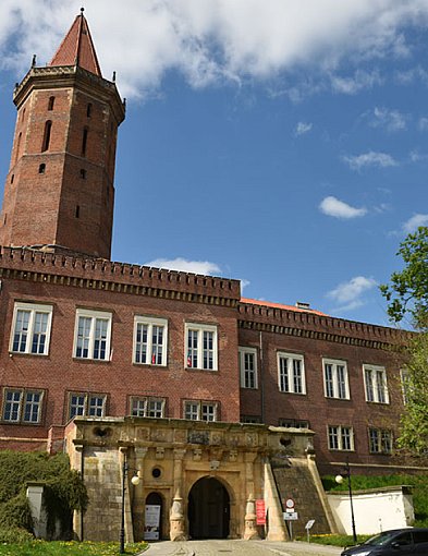 Letnie kino pod chmurką na Zamku Piastowskim-111509