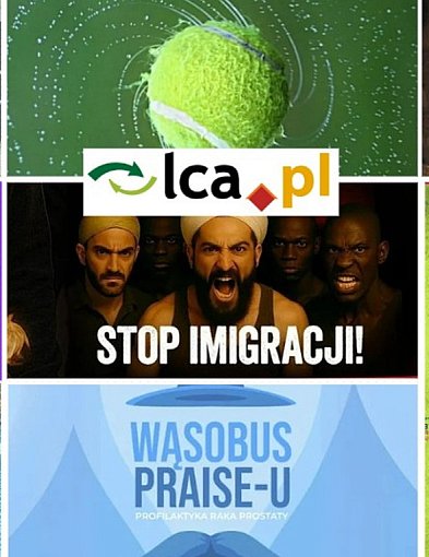 Co robić w weekend? Legnica, Rokitki i Prochowice zapraszają-111544