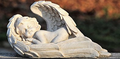 Pożegnaliśmy ich w minionym tygodniu. Legniczanie, którzy odeszli…-111597