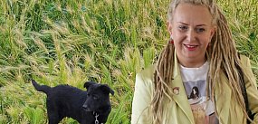  Jęczmień płonny szkodzi psom na Piekarach