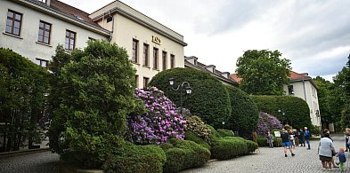 Kobiety beneficjentkami renty wdowiej-112390