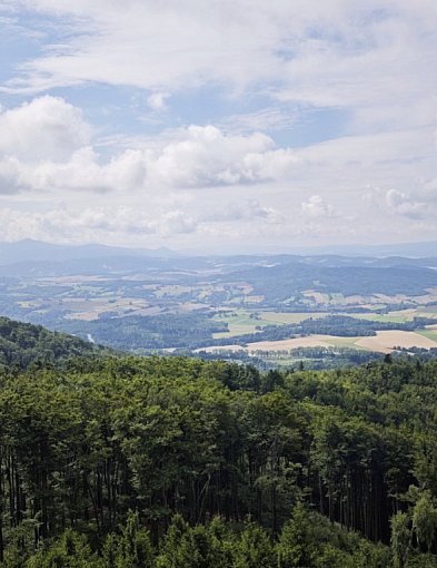 Pogoda na weekend w Legnicy, powiecie i górach-112530