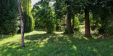 Są dwie oferty na metamorfozę skweru przy ulicy Witelona-112886