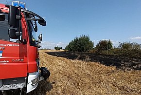 Pożar ścierniska przed Jaśkowicami i uszkodzony słup w Spalonej-112910