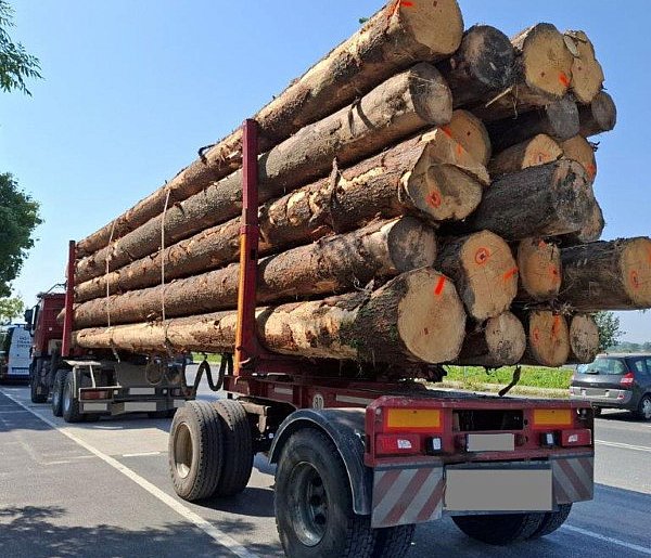 Przeciążona o 15 ton ciężarówka z drewnem zatrzymana na A4-113024