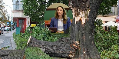 Anna Mokhtari interweniowała w sprawie pomników przyrody. Jest odpowiedź-113225