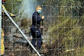Chojnowscy policjanci gasili pożar traw przy autostradzie A4-113335