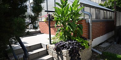 Artystyczny piknik na zakończenie lata w ogrodach palmiarni-113382