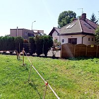 zdjecie ogloszenia