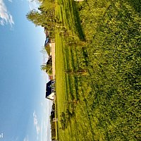 zdjecie ogloszenia