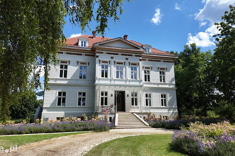 zdjecie ogloszenia