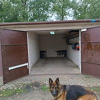 zdjecie ogloszenia