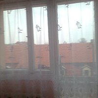 zdjecie ogloszenia