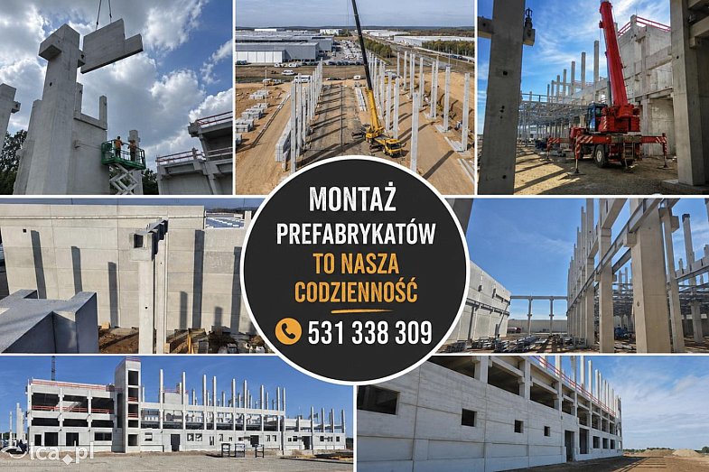 zdjecie ogloszenia